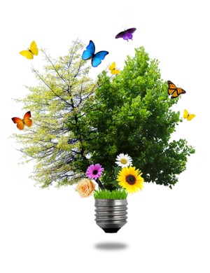 Imparting the Green Message
